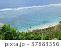宮古島 37883356