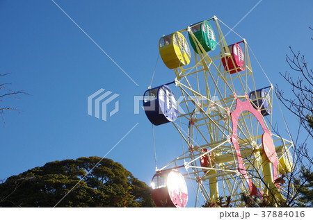 神峰公園観覧車 37884016