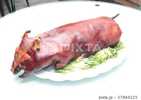 roasted pork roasted pork 37884225