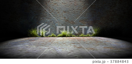 Background empty street and concrete wall Background empty street and concrete wall 37884843