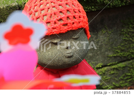 増上寺（東京都港区）　水子地蔵 37884855