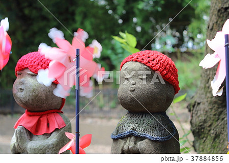 増上寺（東京都港区）　水子地蔵 37884856