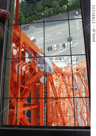 東京タワー ルックダウンウィンドウ 東京タワー ルックダウンウィンドウ 37885232