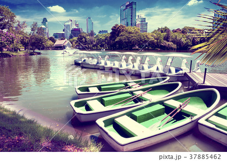 bangkok lumphini park 37885462