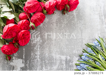 Valentines day or birthday greeting card. Red Valentines day or birthday greeting card. Red 37886274