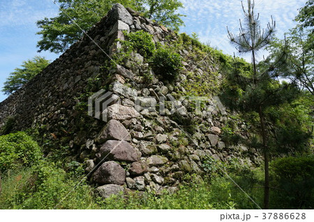 田丸城 石垣 田丸城 石垣 37886628