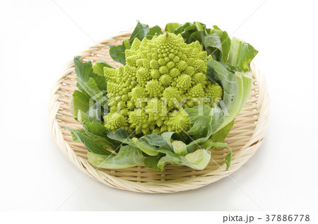 ロマネスコ 37886778