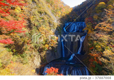 袋田の滝　紅葉 37887008