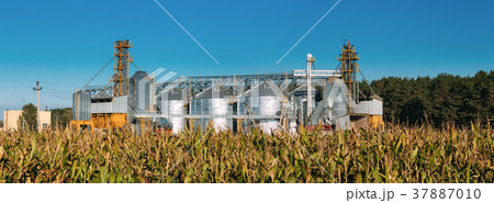 Modern Granary, Grain-drying Complex, Commercial Modern Granary, Grain-drying Complex, Commercial 37887010