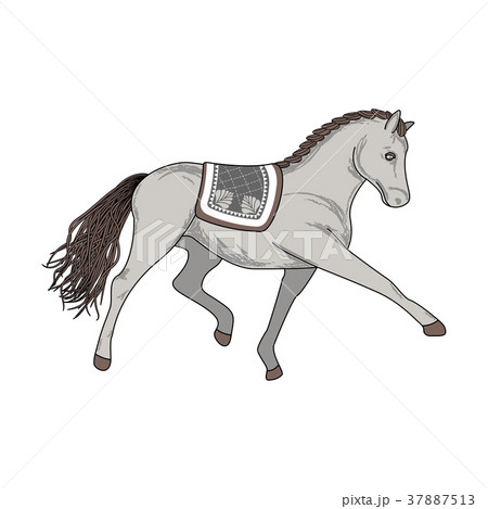 Dressage horse vector illustration. 37887513