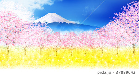 桜 春 富士山 背景 のイラスト素材