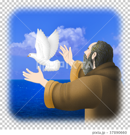 希望の鳩 37890660