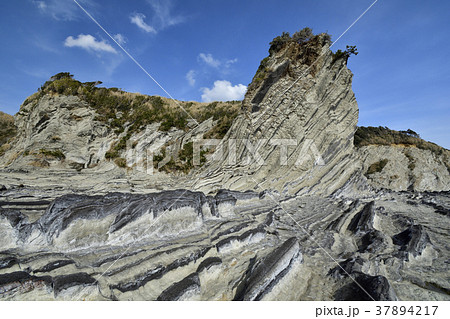 冬の三浦岩礁のみち 盗人狩 37894217