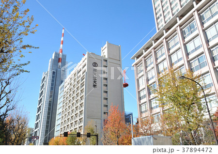 順天堂大学・病院 37894472