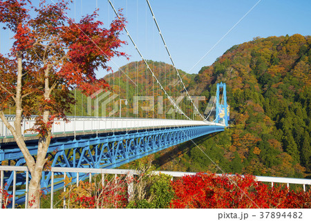 竜神大吊橋 37894482