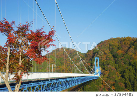 竜神大吊橋 37894485