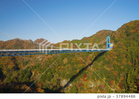 竜神大吊橋 37894486