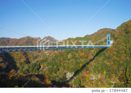 竜神大吊橋 37894487