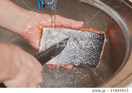 Hands washing and cleaning salmon fish over sink Hands washing and cleaning salmon fish over sink 37894915