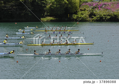 川　レガッタ　川辺町 37896088