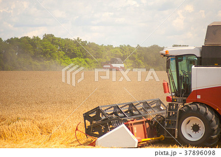 combine harvester working on a wheat field. combine harvester working on a wheat field. 37896098
