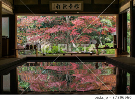 寿福寺 寿福寺 37896960