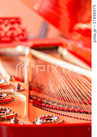 Strings close-up. Vintage red classical grand 37896975