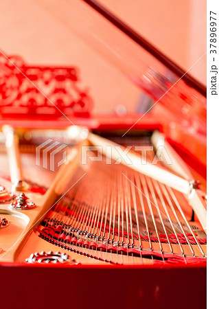 Strings close-up. Vintage red classical grand 37896977