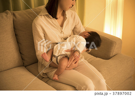 育児 37897002