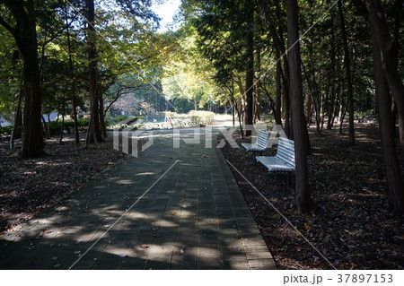 狭山市 堀兼 上赤坂公園 狭山市 堀兼 上赤坂公園 37897153