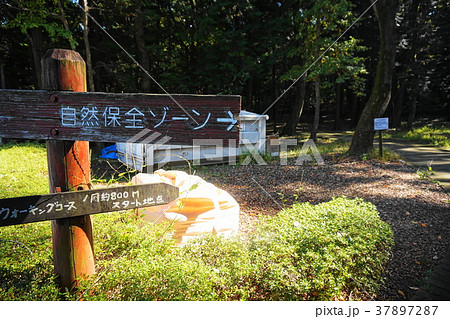 狭山市　堀兼　上赤坂公園 37897287