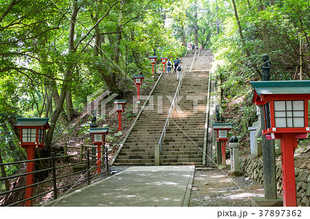 高尾山　高尾山薬王院　表参道　108段の男坂 37897362