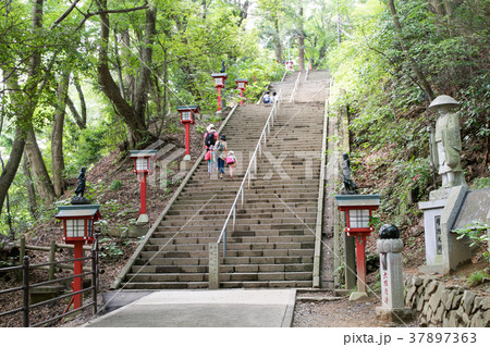 高尾山 高尾山薬王院 表参道 108段の男坂 高尾山 高尾山薬王院 表参道 108段の男坂 37897363