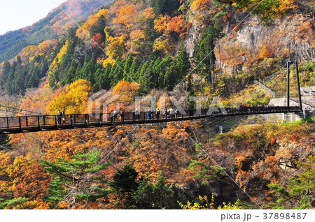 鬼怒川温泉　鬼怒楯岩大吊橋と紅葉 37898487