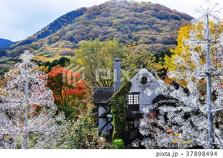 箱根ガラスの森美術館庭園のクリスタルガラスモミの木と紅葉 37898494