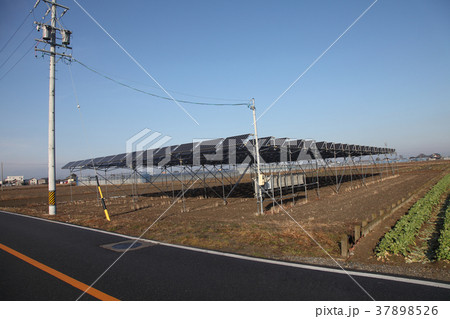 太陽光発電、米つくり 太陽光発電、米つくり 37898526
