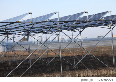 太陽光発電、米つくり 37898554