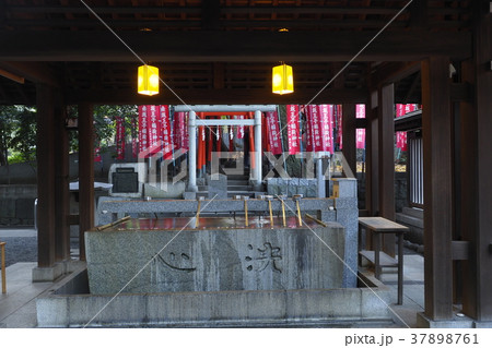 乃木神社 乃木神社 37898761