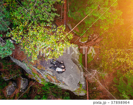 Top down aerial drone image of a forest. 37898964