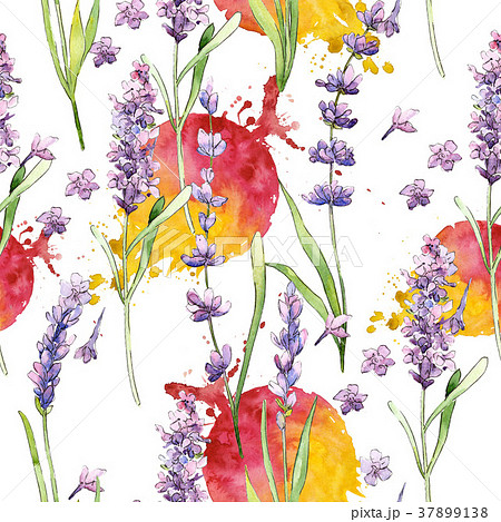Wildflower lavender flower pattern in a watercolor Wildflower lavender flower pattern in a watercolor 37899138