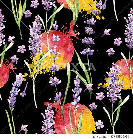 Wildflower lavender flower pattern in a watercolor 37899142