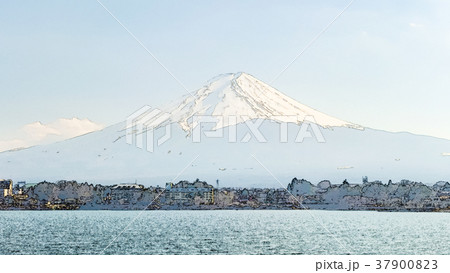 冨士山 富士 ふじ 37900823