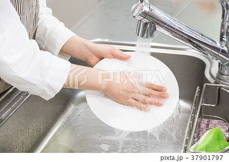 食器を洗う女性の手 37901797