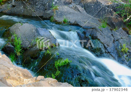 Mountain stream 37902346
