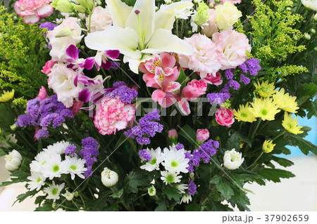 日本の葬式の花 日本の葬式の花 37902659