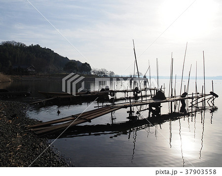 涸沼の湖畔の光景 37903558