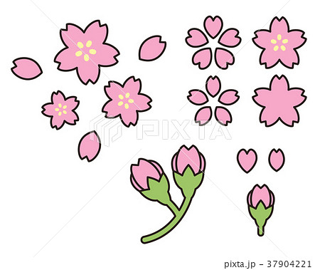 Illustration Of Cherry Blossoms And Buds Stock Illustration