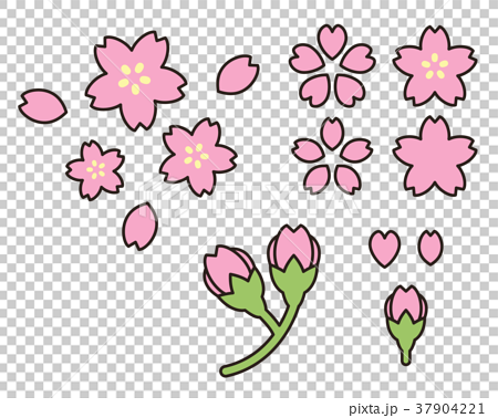 桜の花びら つぼみのイラストのイラスト素材