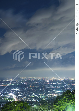 高麗山公園　夜景 37905091