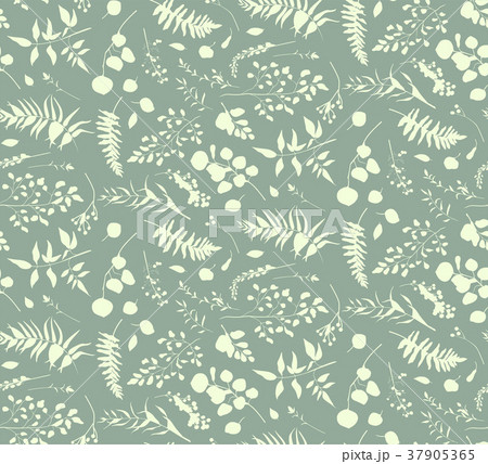 Seamless pattern of Eucalyptus palm fern foliage 37905365